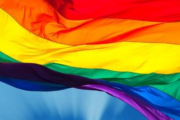 Image of Rainbow Flag