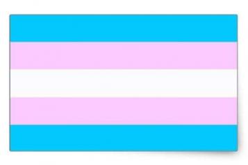 Trans flag